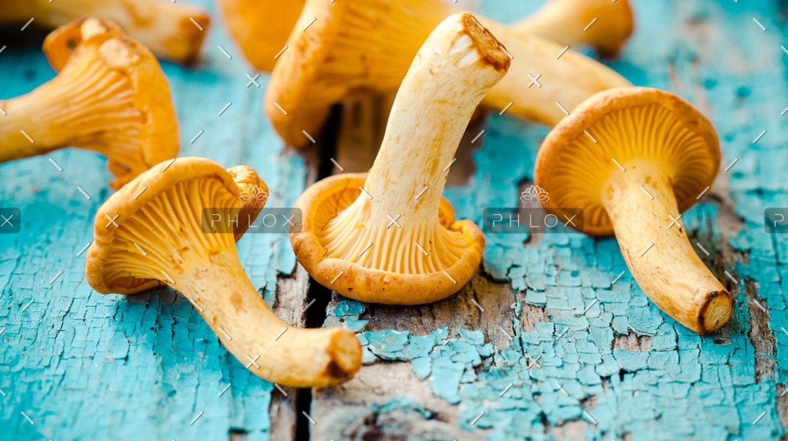 demo-attachment-27-fresh-chanterelle-mushrooms-on-a-wooden-P5YD4CZ